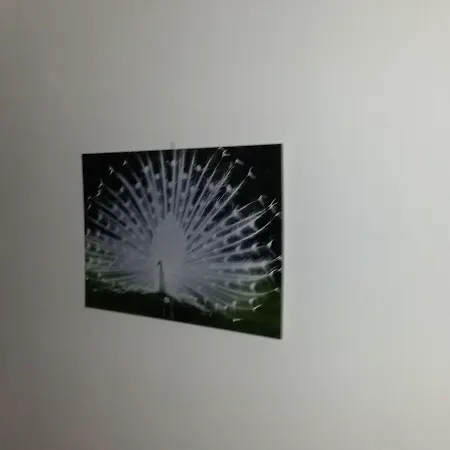 Cristallo Szálloda 3*